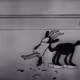 368