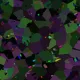 Algorithmic Beauty 42