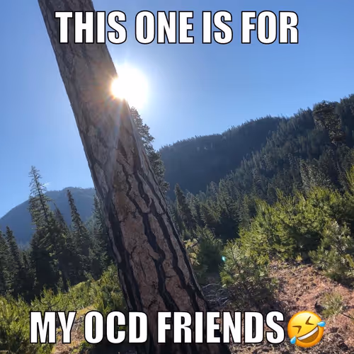 Item #75724681791086405125233910307685321708509835393091974638293742921846814499153 Media