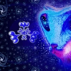 Cat Alien Spaceship