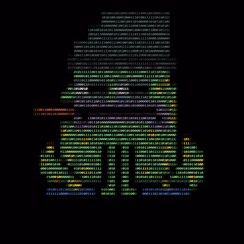 Toad 73