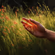 93