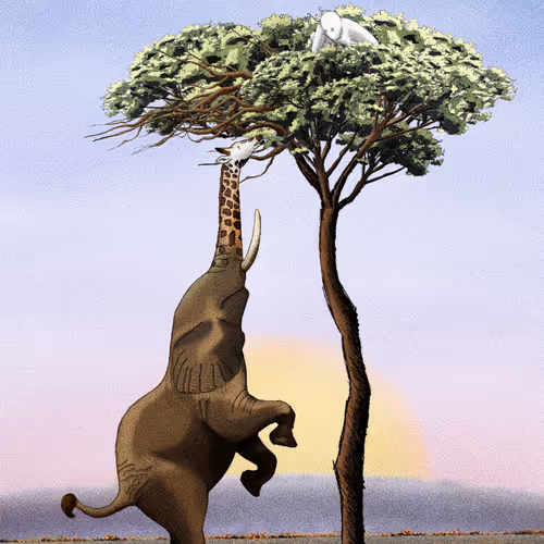 They Took Our Trees