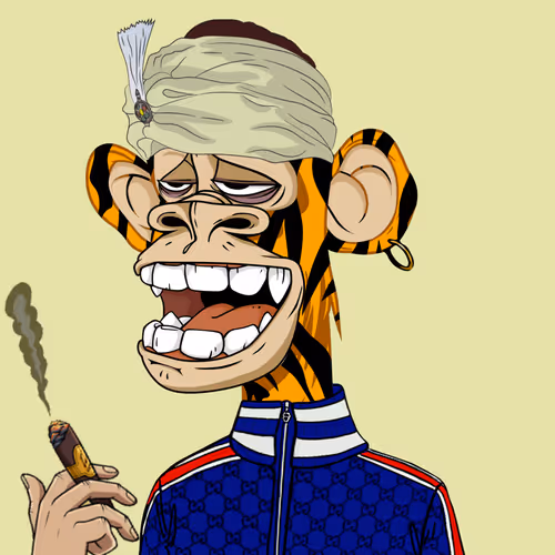 Richapeyachtclub