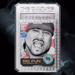 Big Punisher SILVER 36/500