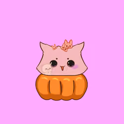 Cupcat 1558