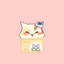 Cupcat 3602