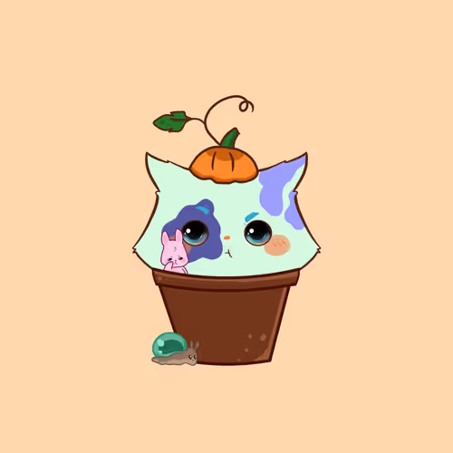 Cupcatsofficial