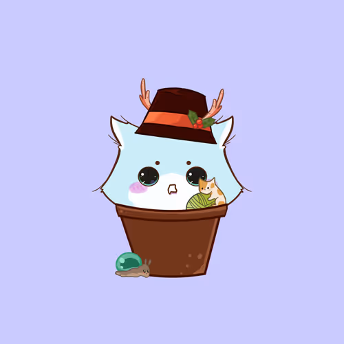 Cupcatsofficial