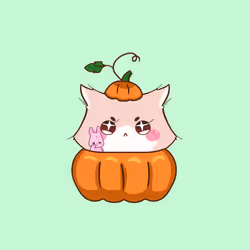Cupcat 1993