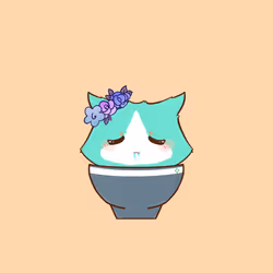 Cupcat 363
