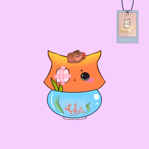 Cupcatsofficial