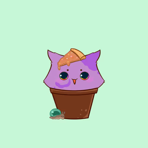 Cupcatsofficial