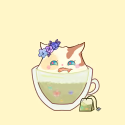 Cupcat 3388