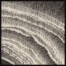 Echo of Intensity #151