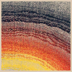 Echo of Intensity #1011