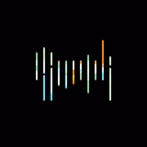 Trademark By Jack Butcher