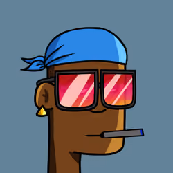 BoringPunk #310