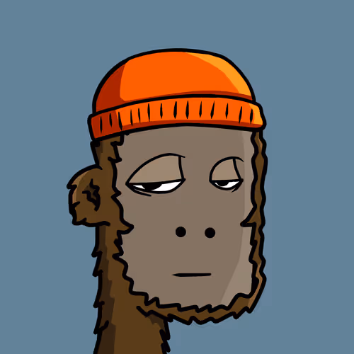 BoringPunk #8219