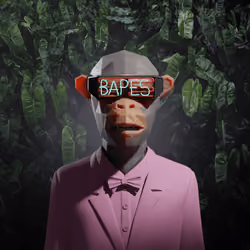 Bape #825
