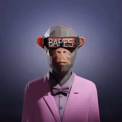 Bape #1707