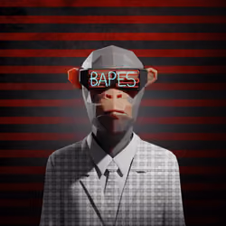 Bape #217