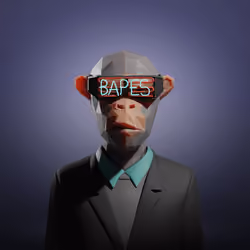 Bape #1458