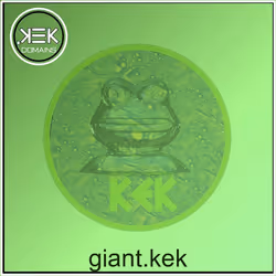 11622156491028994124819296944694269619871853832594607819100147502669273384423