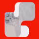 81