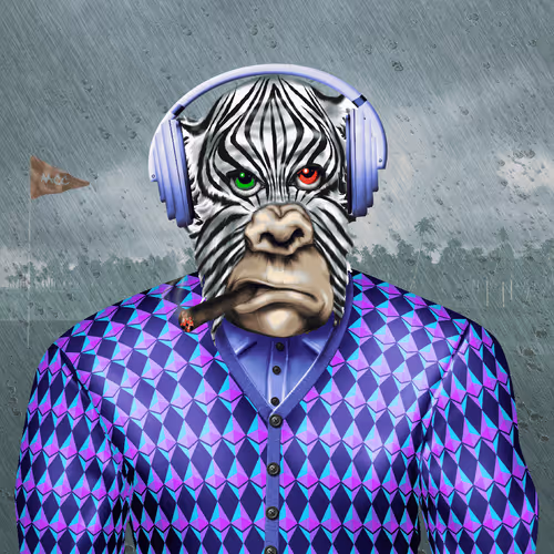 Angry Apes Cc