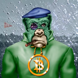 Angry Ape CC #1992