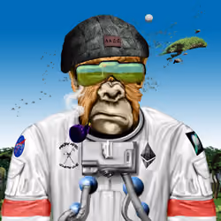 Angry Ape CC #4610