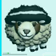 527