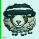 217
