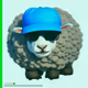 764
