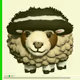 551