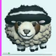 543