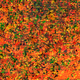 632