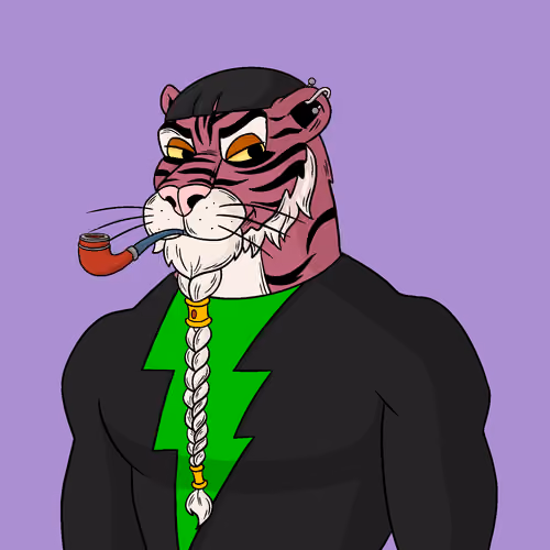 Tiger #26