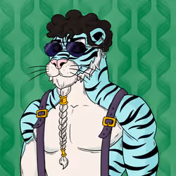 Tiger #241