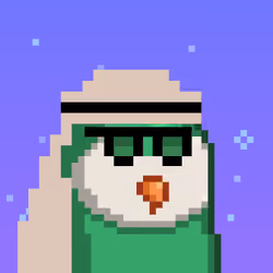 The Saudi Birds #79