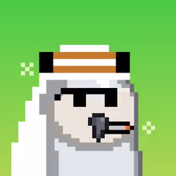 The Saudi Birds #210