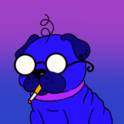Pugz Not Drugz Epilogue #2015