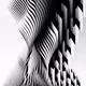 161