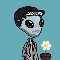 Gray Boy #2319