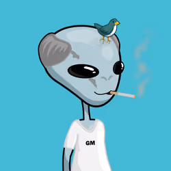 Gray Boy #364