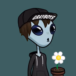Gray Boy #881