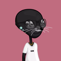 Gray Boy #5814