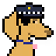 9584