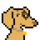 5099